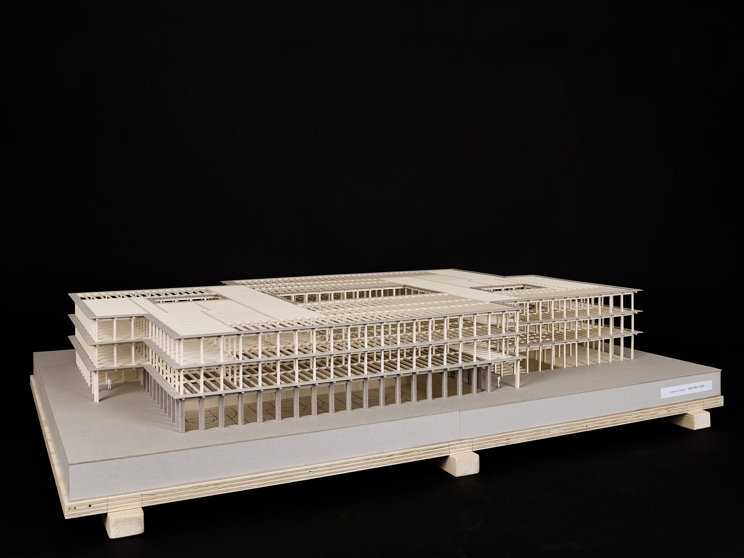 20 · rose des vents